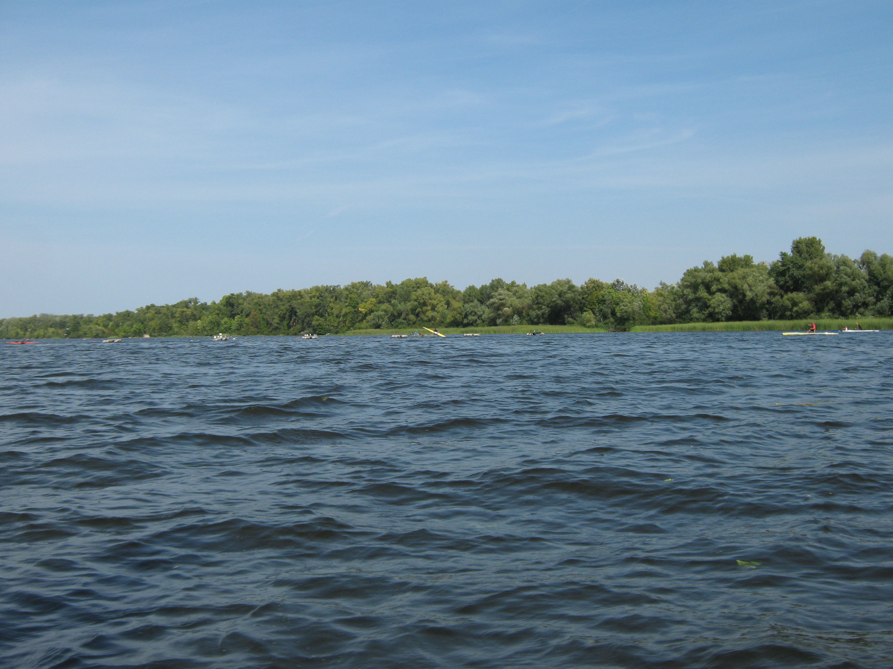 IMG_6050.jpg